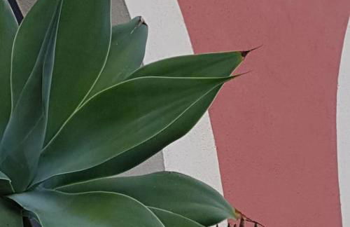 Magical VILLA CASA KOI in Sao Bras de Alportel - Foto 11