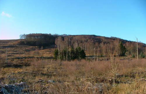 The Struan Inn Self Catering Lodge - Foto 88