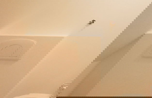 Adventure Park Apartments - Foto 4