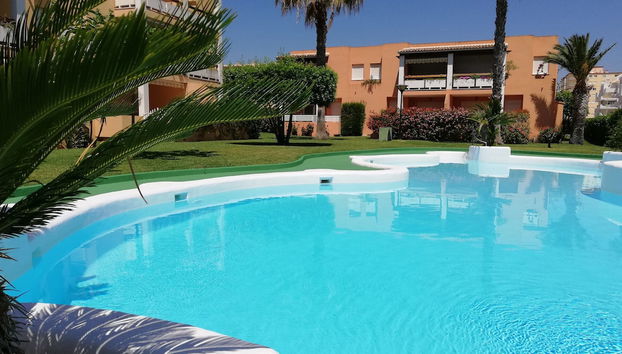 Lirios - Foto 2, Imagem principal