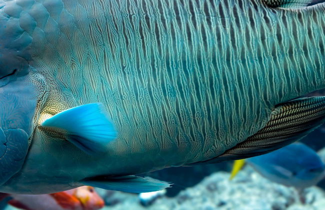 Livorno Aquarium Ticket - Foto 7