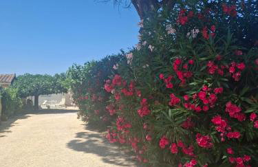 Bienvenue en Provence - Foto 1