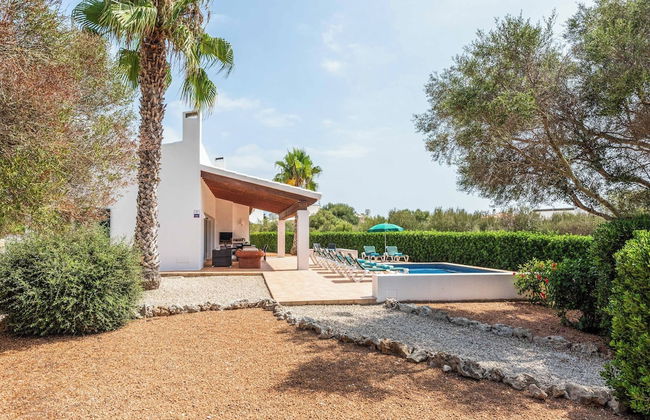 Bini Rosa - Photo 28