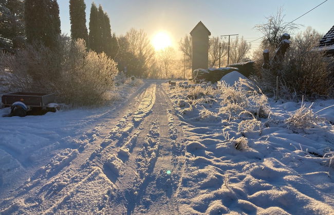 Alt Krassow Lakeside Retreat - Foto 39