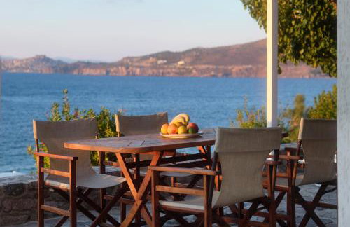 Little Bird Lesvos - Photo 33