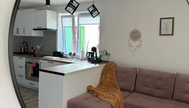 Mr. Sowa Sokolec - Foto 3