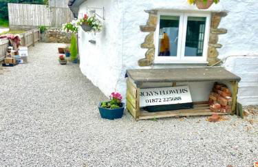 Romantic log-burner Cornish Cottage private garden dogs welcome - Photo 1