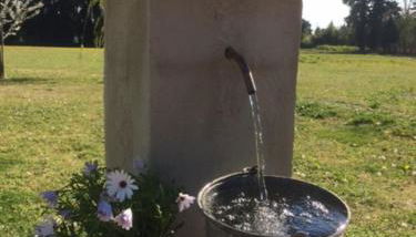 Safranière des Sorgues - Photo 2