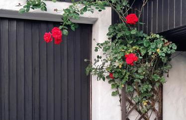 Ferienhaus mit Schwimmhalle - Foto 31