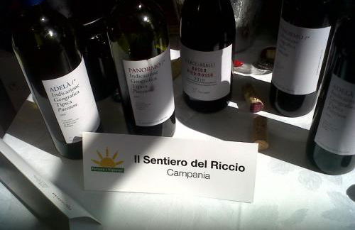 il sentiero del riccio - Foto 27