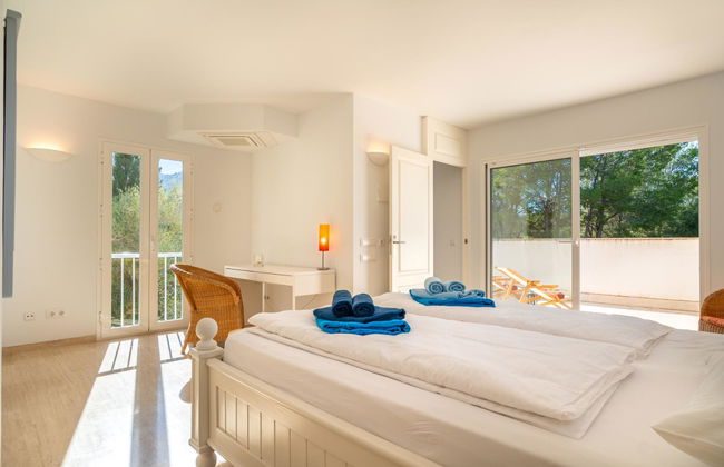 Orquidea 34 - Photo 13