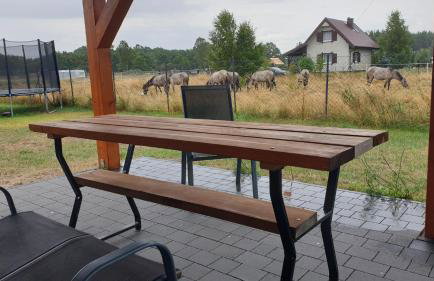 Słowińskie Widoki domki Flora, Fauna, noclegi Smołdziński Las - Foto 9