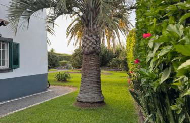 Solar de Sant'ana - Photo 8