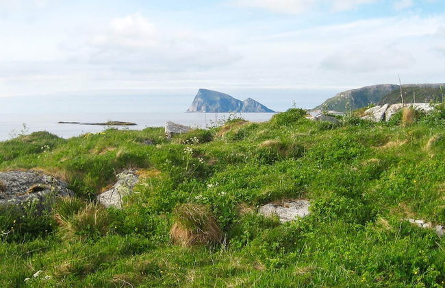 5 Person Holiday Home in Straumsbukta-by Traum - Foto 20