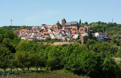 Burggarten Appartements Neuleiningen - Foto 50