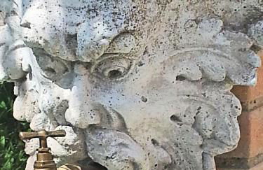 Agriturismo MonteMaggio - Foto 21