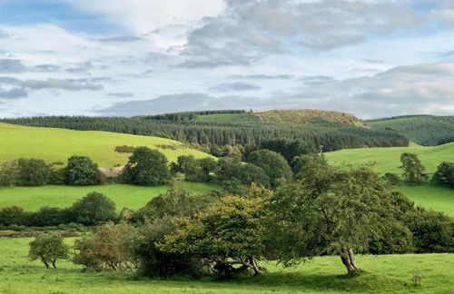 Drovers Retreat - Photo 67