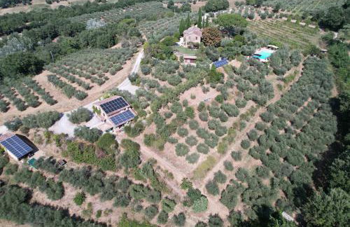 Fontanaro Farm and Culinary School - Foto 55