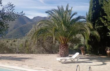 El Cañuelo - Foto 35