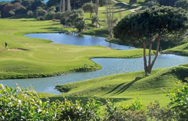 Mimosas golf IV - Photo 36