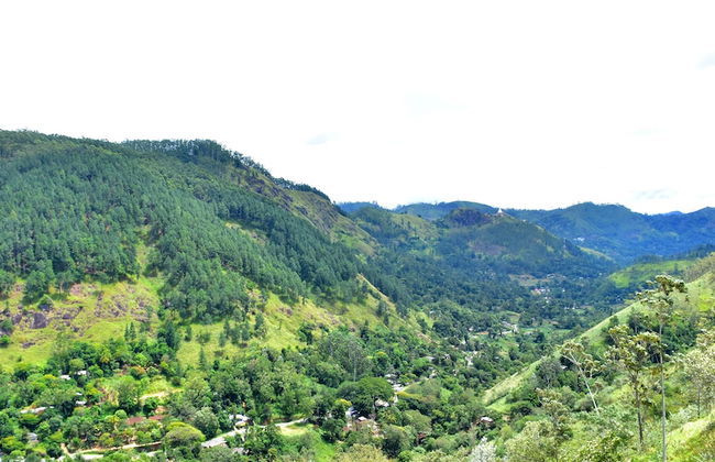 Ella Sisilasa Holiday Resort - Foto 27