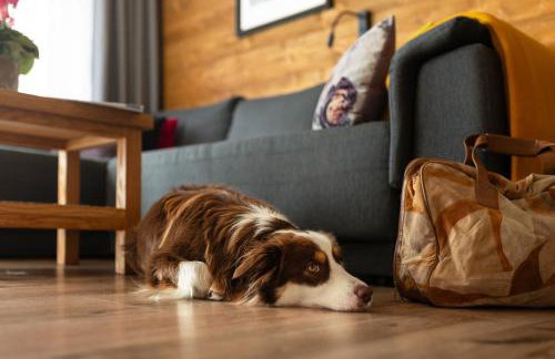 APARTAMENTY U HARREGO BOUTIQUE SPA masaże, sauna, tężnia solankowa , balkon , taras , klimatyzacja , parking - Foto 59