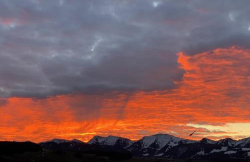 PanoramaApart - Alpzeit im Westallgäu - Foto 11