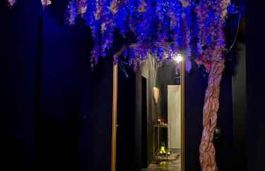 Suite mit Whirlpool, Sauna, Pole Dance und mehr - Foto 9