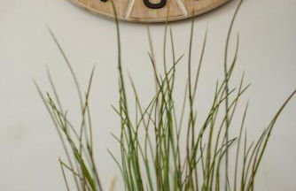 Flower Beach Suite 23 - Photo 25