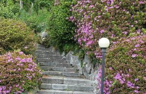 Residenza del Pascià - Appartamento Camphora - Foto 39