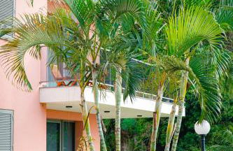 Quinta das Rosas - Photo 4