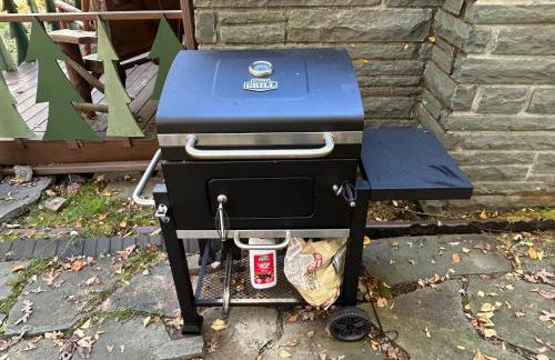 Peaceful Seasonal Wooded Cottage close to everything - Foto 42