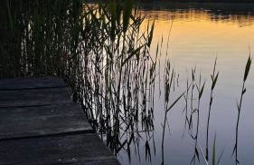 Domki Lawendowy Zakątek - Foto 46