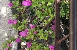 La Casa di Zia Rita - Foto 12