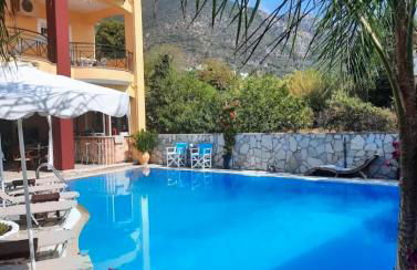 Golden Star - Foto 58