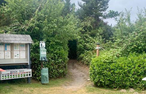 The Grey Gull - Foto 32