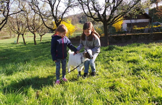 Apartment in Oberkirch - Foto 12