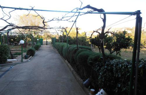 Jenny`s House - Photo 31