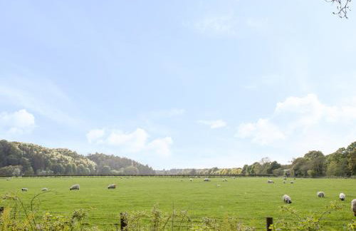 Mr McGregors' Cottage - Photo 25