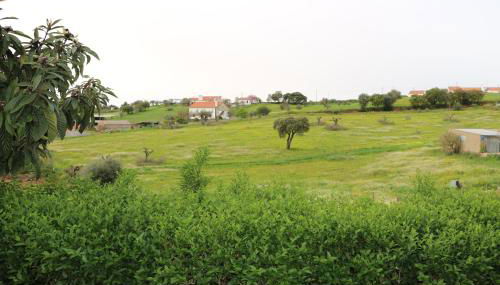 C M Casa de Mares Alojamento Local - Foto 3