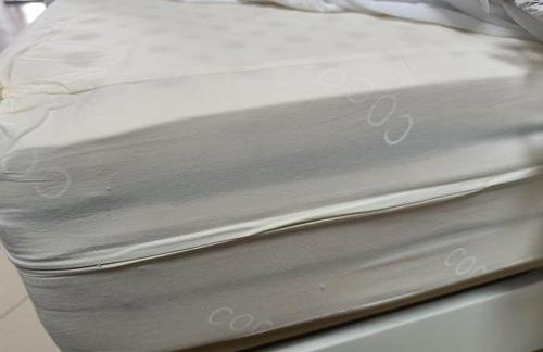 Φρίντα στο κέντρο της Ορεστιάδας - Foto 17