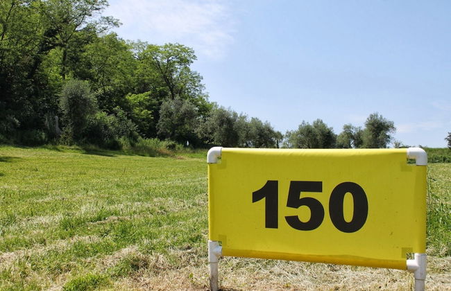 Castello Montegiove - Foto 40