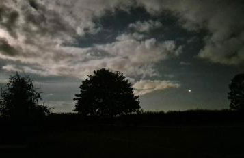 The Cosy Hide - A romantic rural retreat for 2 - Foto 50