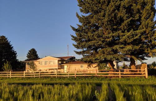 Epic Sunsets in Bozeman - Wonderful View - Photo 57