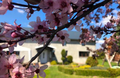 Leśna Willa - Foto 15