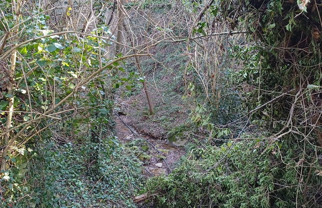 La Casa dei Ricordi in Buti - Foto 5