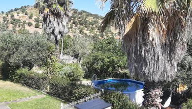 Casa das 3 Palmeiras - Foto 5