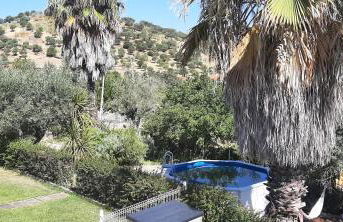 Casa das 3 Palmeiras - Foto 6