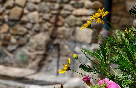 Saplan Real Estate MALADETA - Photo 17