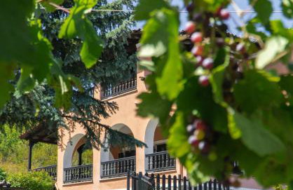 Villa Tethys Mountain Resort - Foto 10